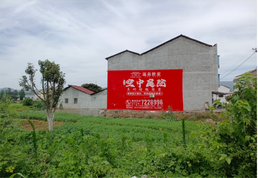 罗城做墙体广告的意义